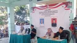 Pilkades PAW Desa Tebon Bojonegoro Usai, Dewi Indah Nurhayati Raih Suara Terbanyak