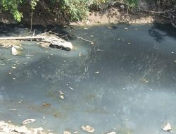 Keruh Berbau Tak Sedap, Kondisi Air Aliran Sungai Pacal di Desa Kabunan Bojonegoro Dikeluhkan Warga