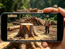 DLH Bojonegoro Resmi Laporkan Oknum Perangkat Desa Karangdinoyo Soal Penebangan Pohon di Ruas Kecamatan