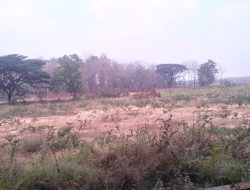 Pembangunan Lapangan Bola Desa Pasinan, Bojonegoro Jadi Sorotan, Azaz Manfaat dan Transparansi di Pertanyakan